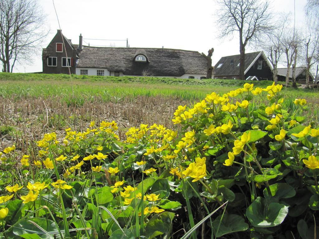 Boerderij Honswijck Konuk evi Weesp Dış mekan fotoğraf