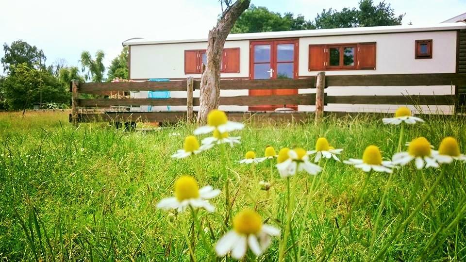 Boerderij Honswijck Konuk evi Weesp Dış mekan fotoğraf