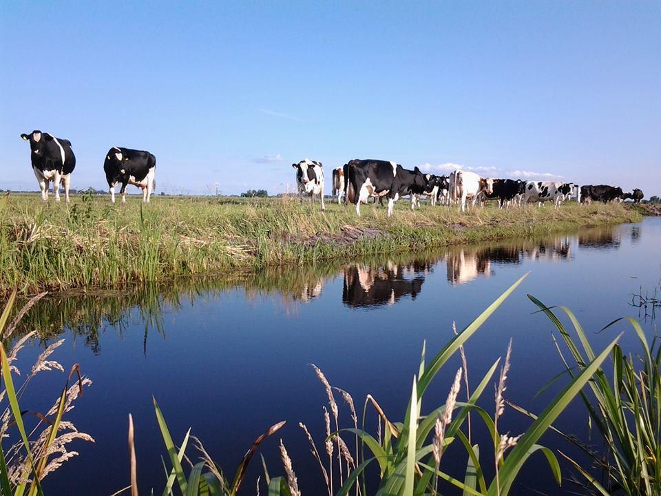 Boerderij Honswijck Konuk evi Weesp Dış mekan fotoğraf